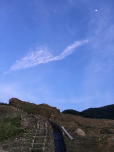 KIN 148 黄色い倍音の星