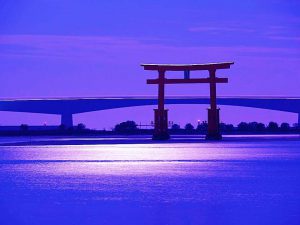 KIN１９４　白い水晶の魔法使い