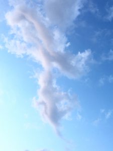 月の月１０日（KIN１０１　赤い惑星の竜）